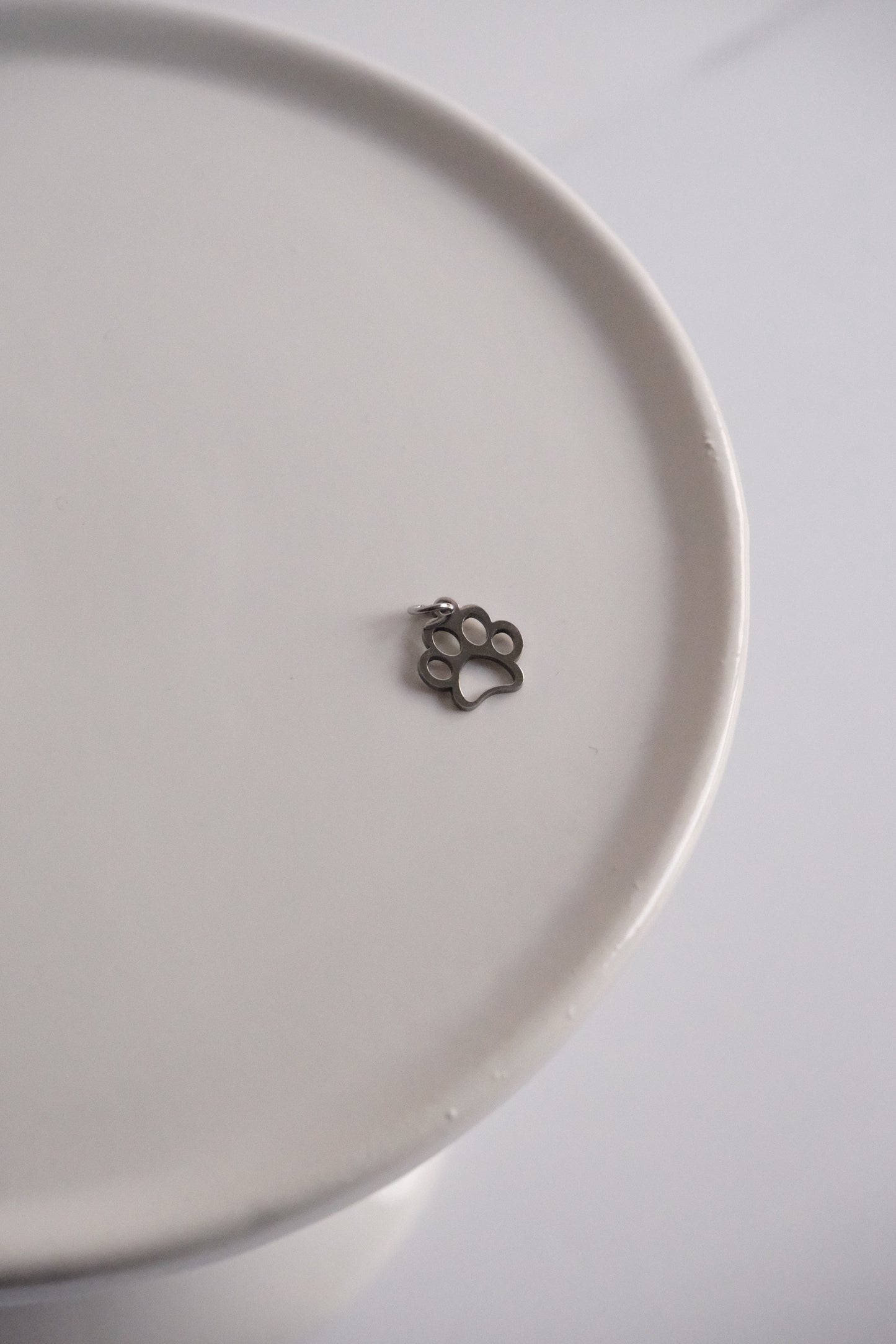 Charm - Patte animal