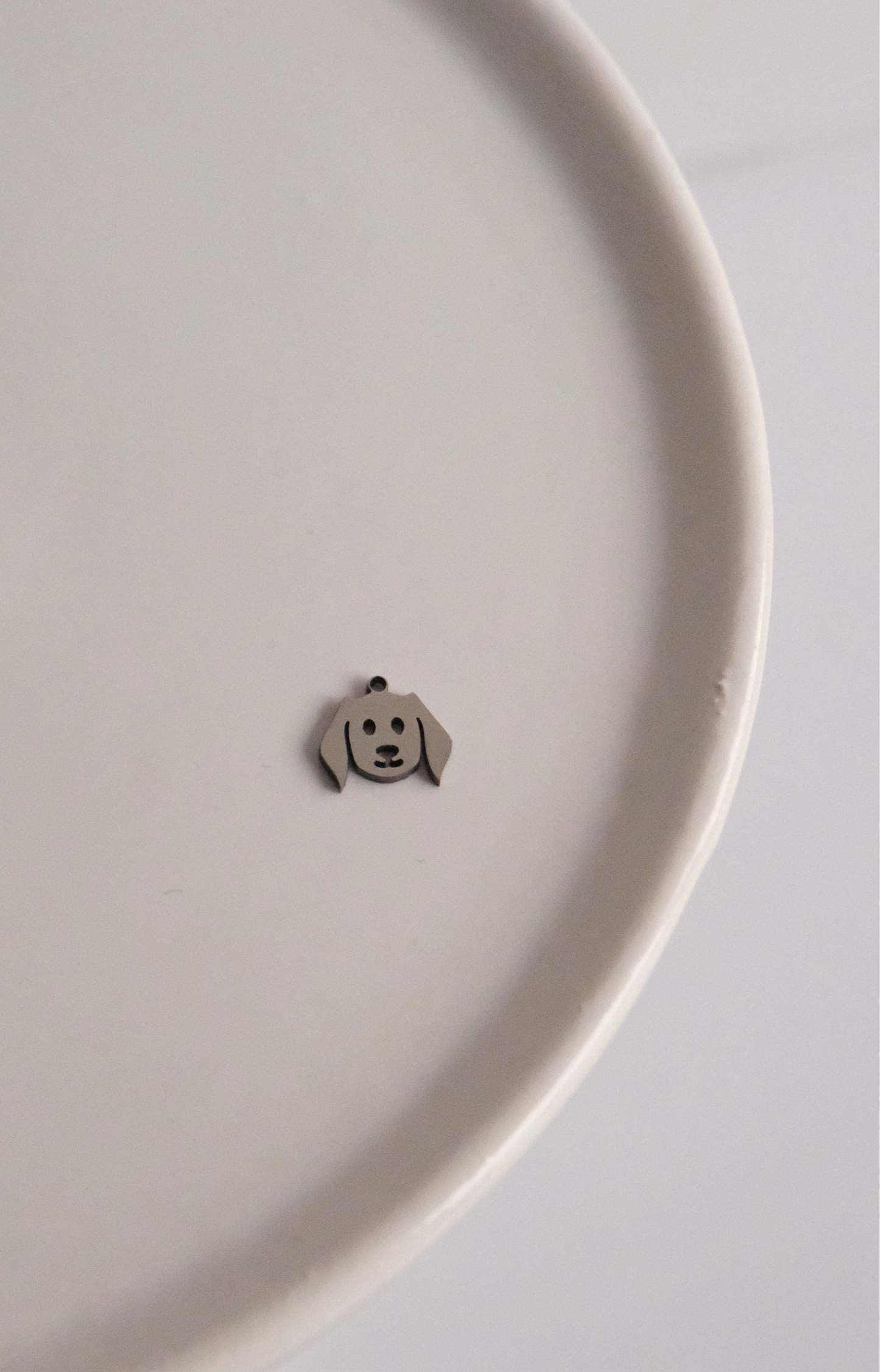 Charm - Visage chien