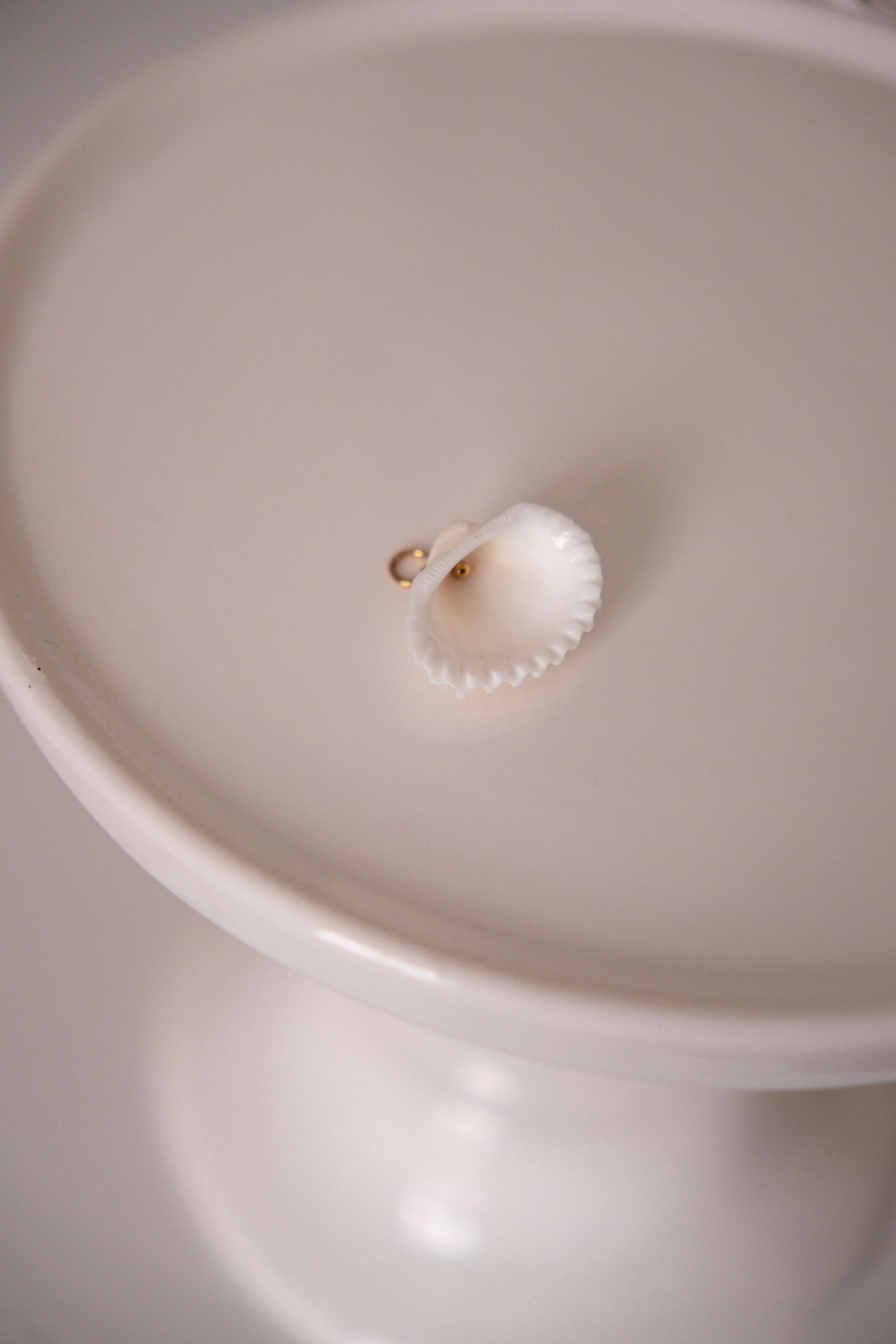 Charm - coquillage