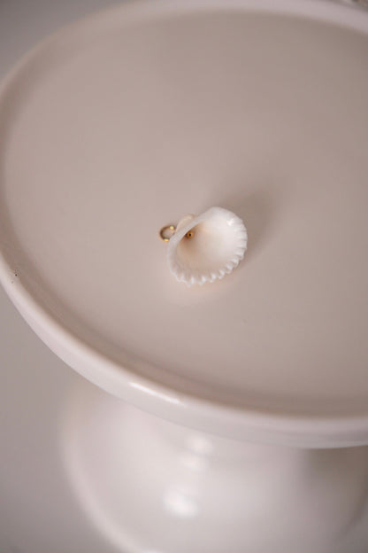 Charm - coquillage