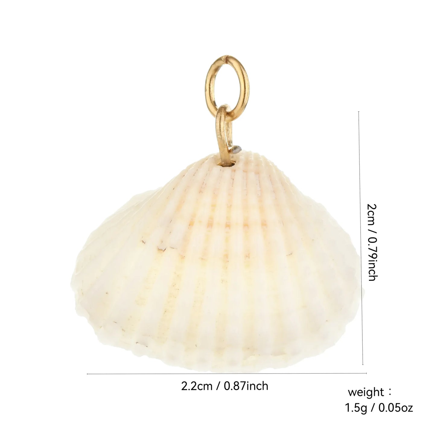 Charm - coquillage