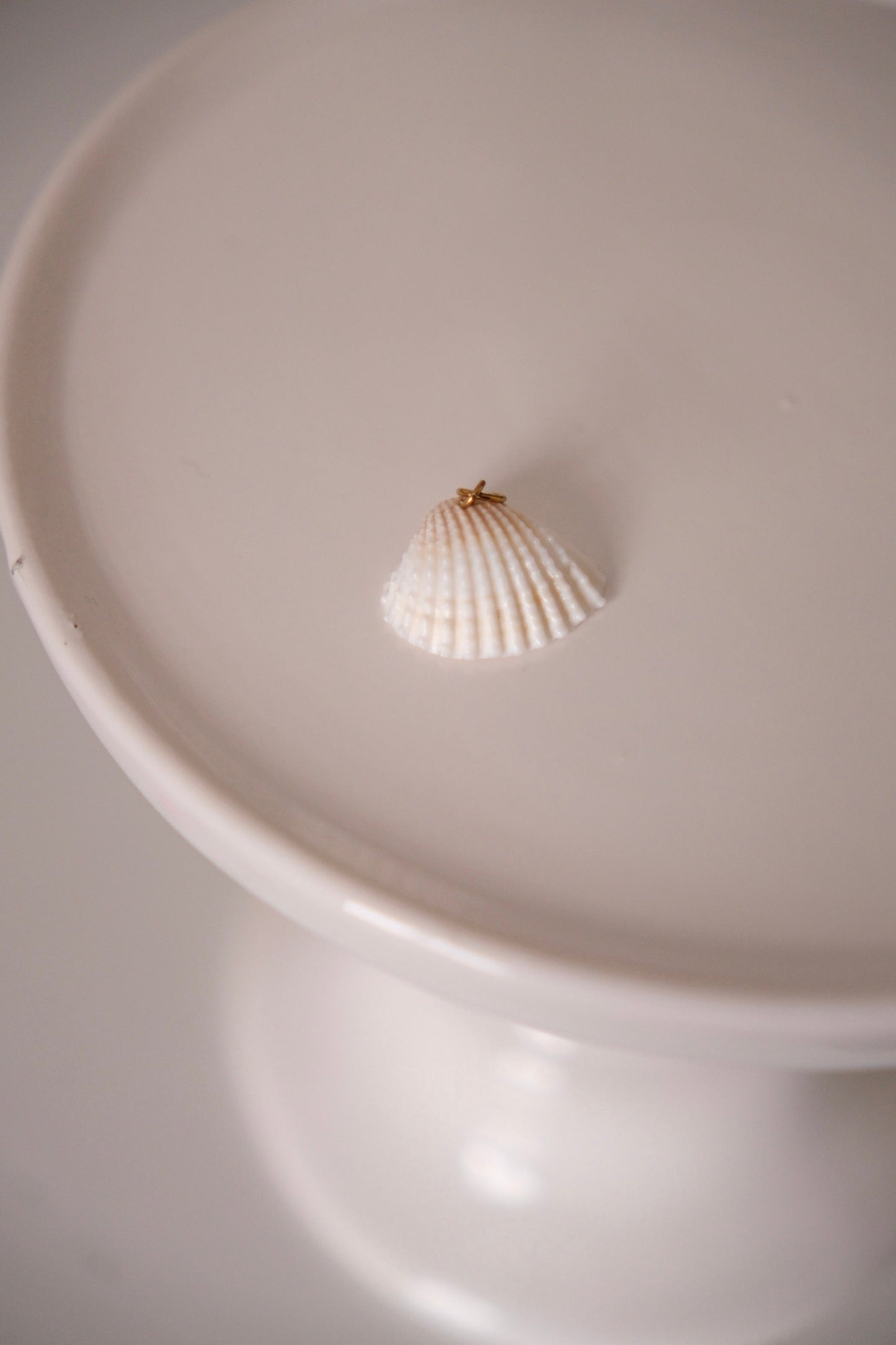 Charm - coquillage