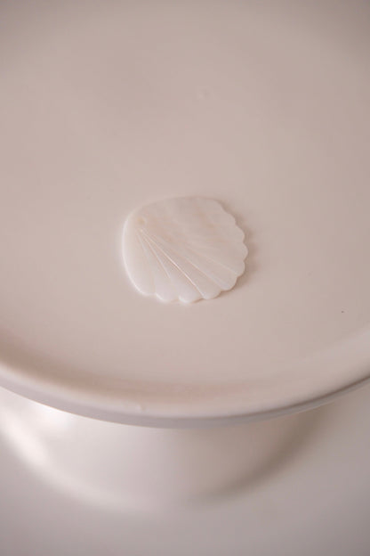 Charm - coquillage