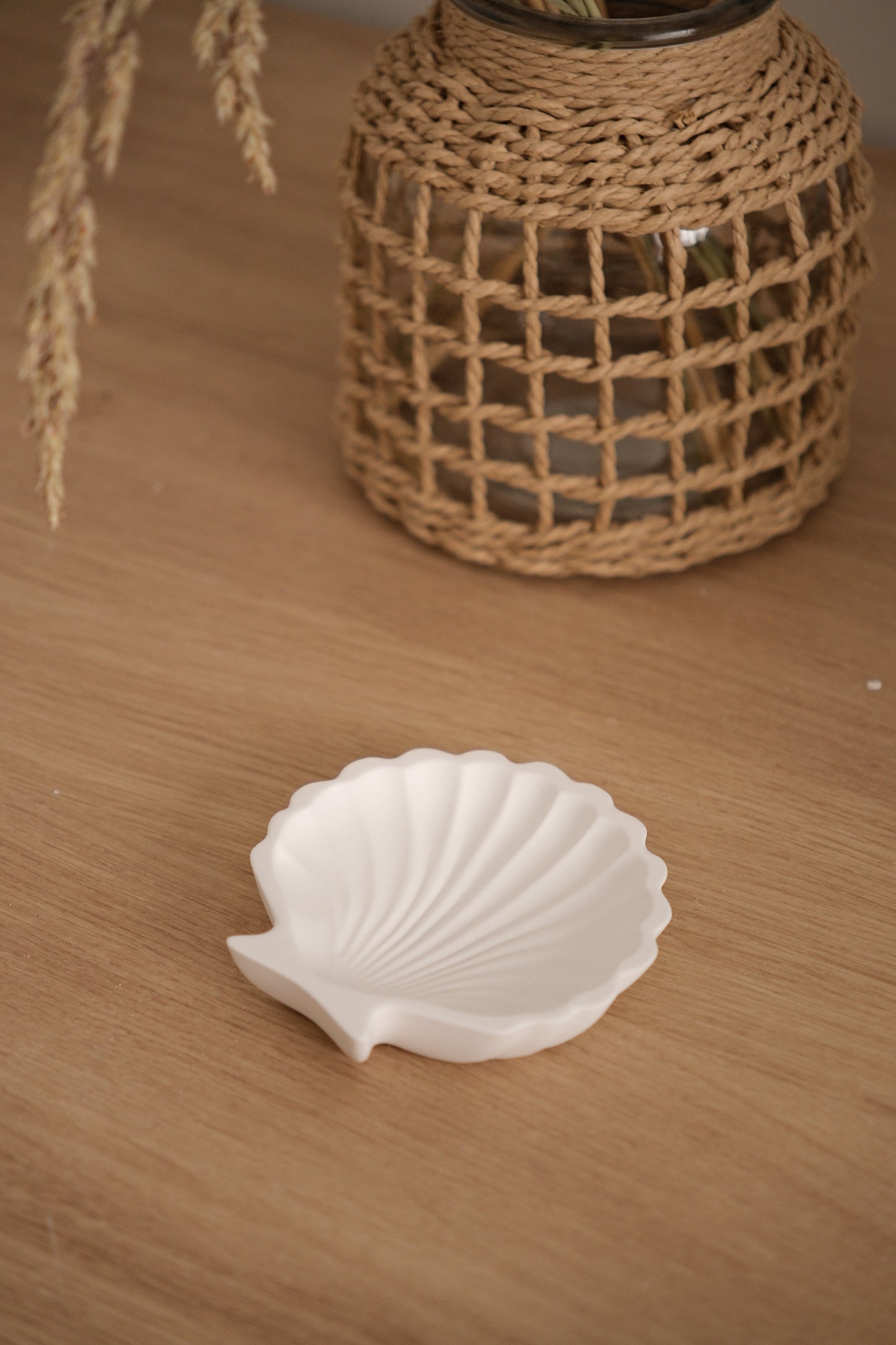 Plateau - coquillage