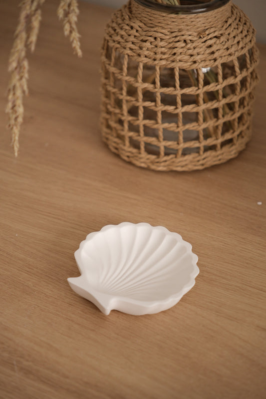 Plateau - coquillage
