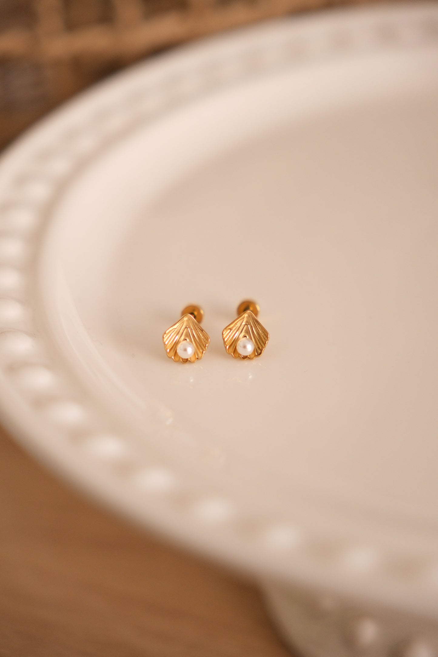 Stud - coquillage
