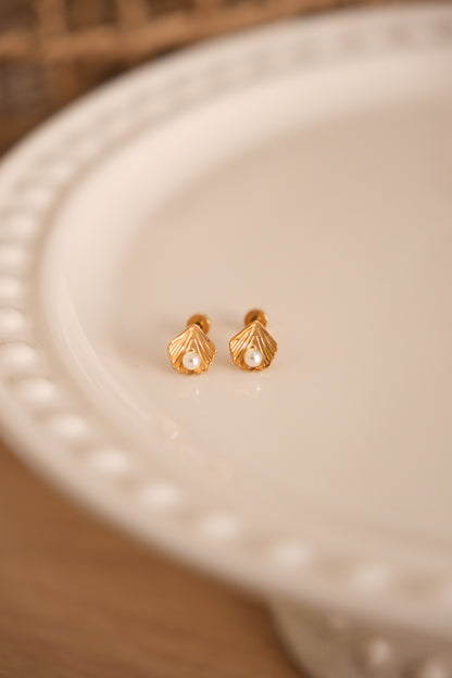Stud - coquillage
