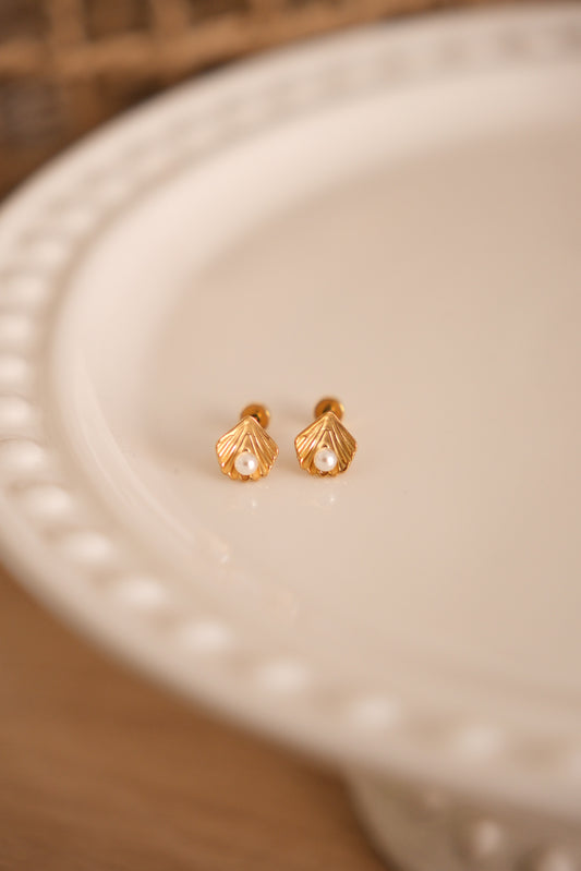 Stud - coquillage