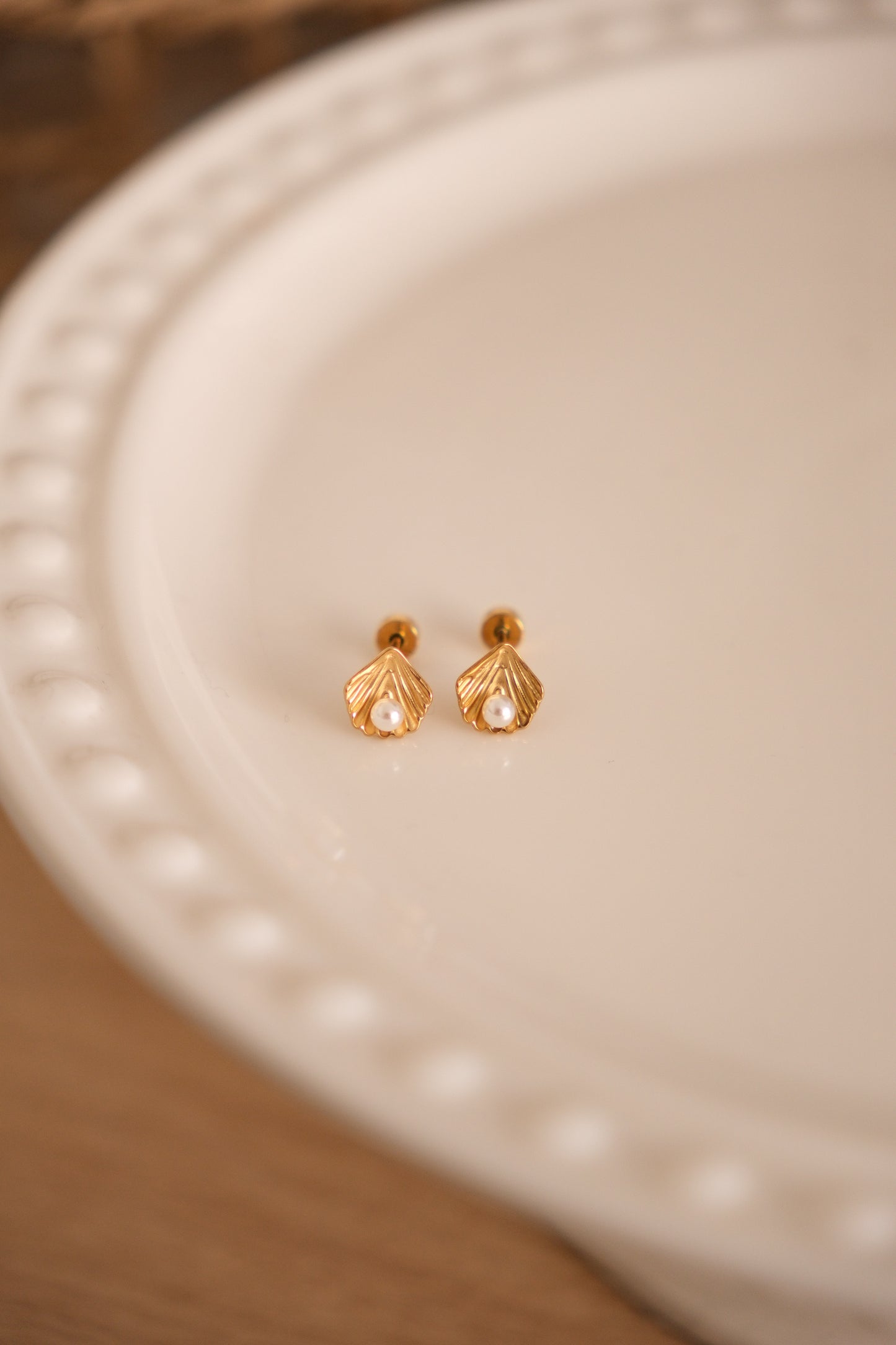 Stud - coquillage