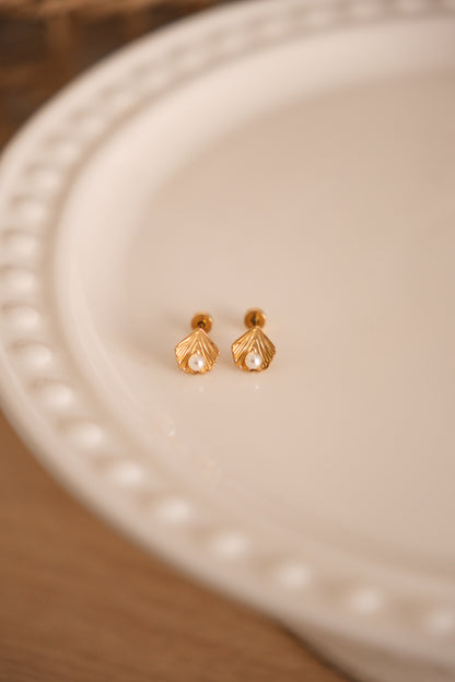 Stud - coquillage